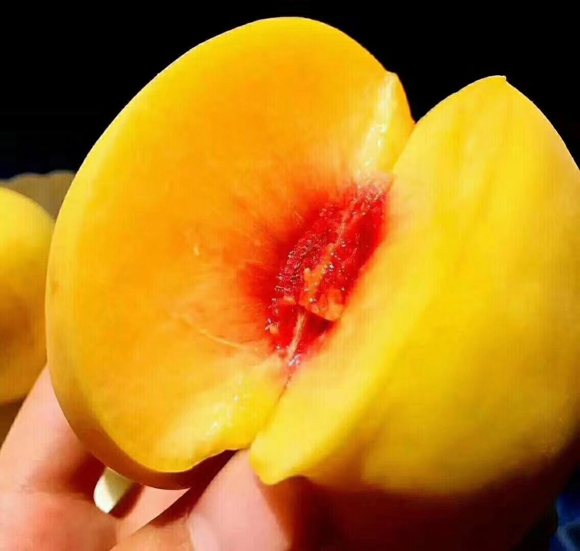 炎陵黄桃特写图