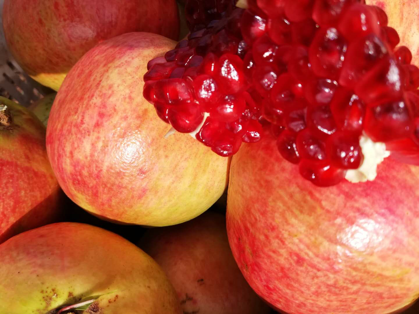 横切开的软籽石榴剖面图,露出密集排列的紫红色籽粒,果粒饱满晶莹,汁液丰富,白色隔膜薄而清晰,无明显空腔,显示出高坐果率和良好发育状态 软籽石榴切开剖面