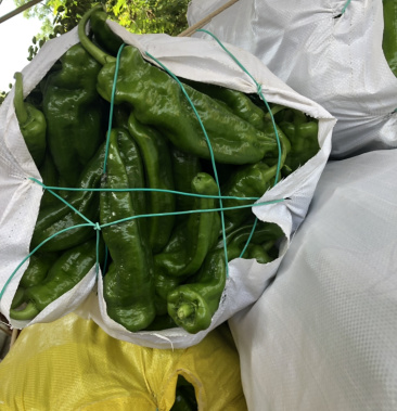 [鲜辣椒批发]二炮价格0.90元/斤 - 一亩田