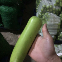 瓠瓜