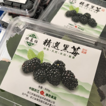 欧洲速冻黑莓