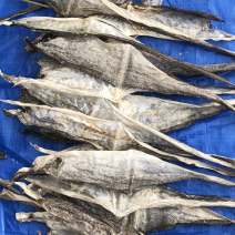 供应真鳕鱼皮，狭鳕鱼皮