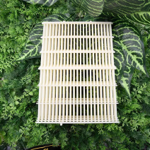蜂具批发中蜂塑料隔王珊隔王板标准尺寸塑料隔王珊中锋蜂箱用