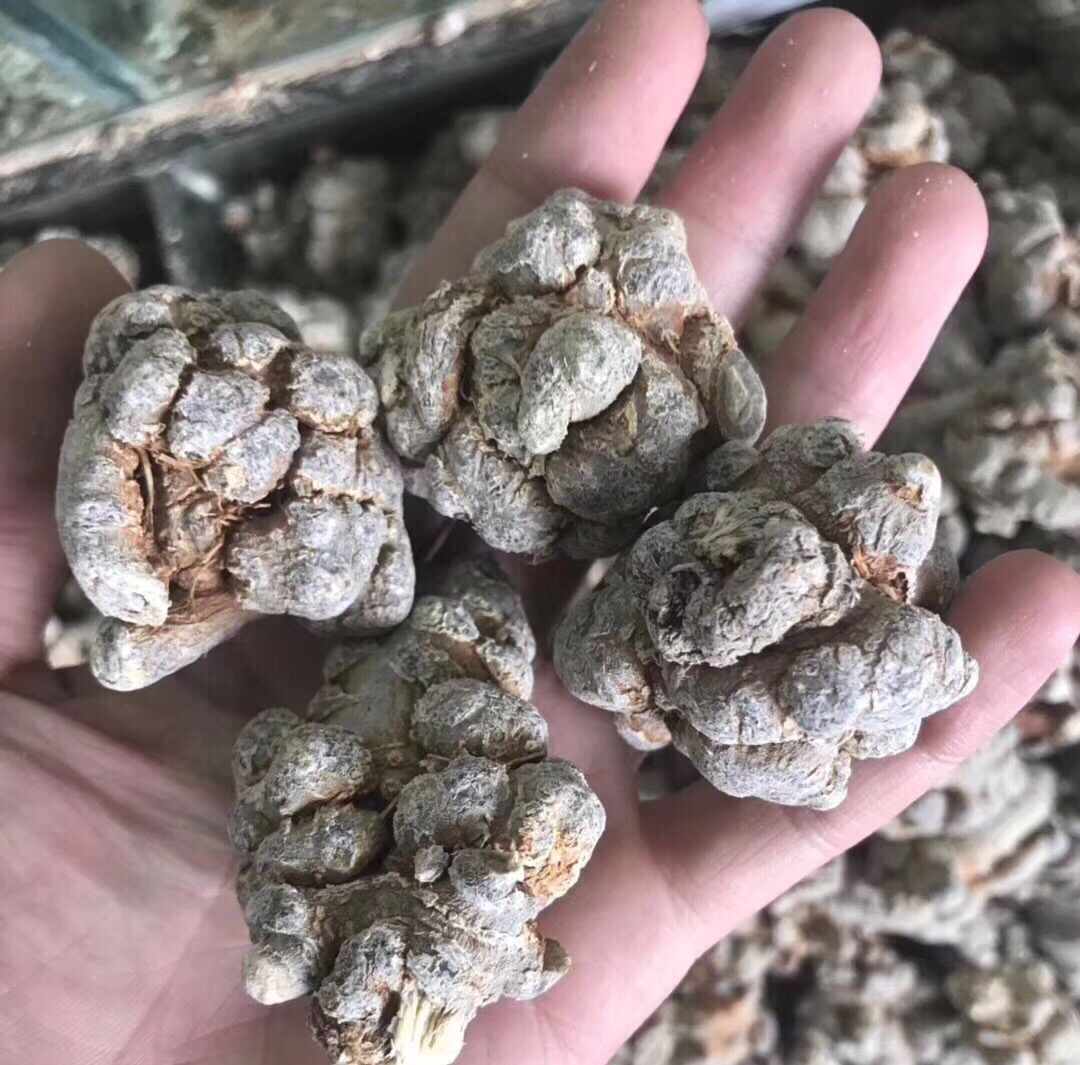 三七加工产品展示