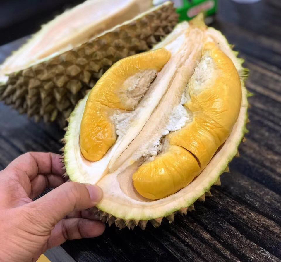 金枕头榴莲与猫山王榴莲切开对比图