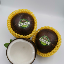 椰子越南老椰黑椰椰皇笑脸椰泡沫箱椰子