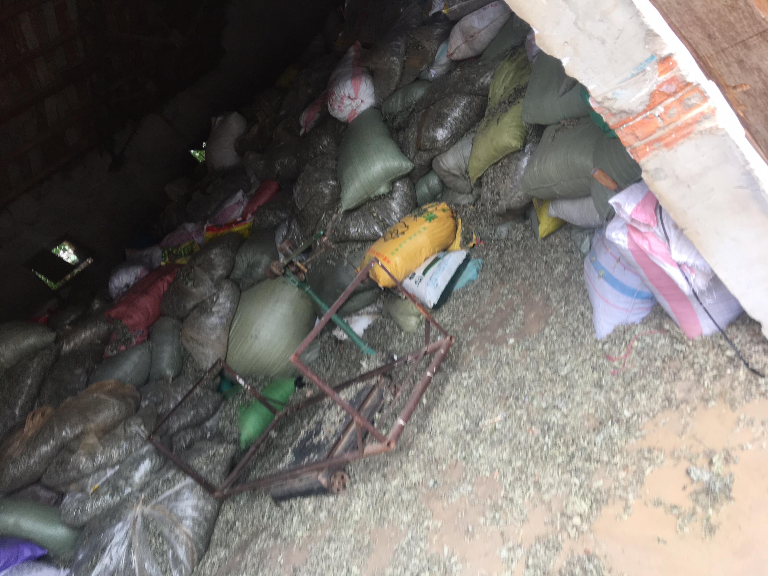 艾叶葱姜捣烂敷腰过程图