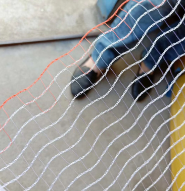 白色鸡网防鸟网鸡网围网