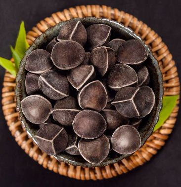 14cm大果1斤装辣木籽印度进口特级野生辣木新食用的