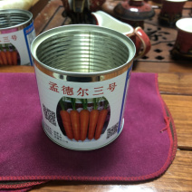 高端杂交胡萝卜种子大红二红**大红应有尽有物美价廉