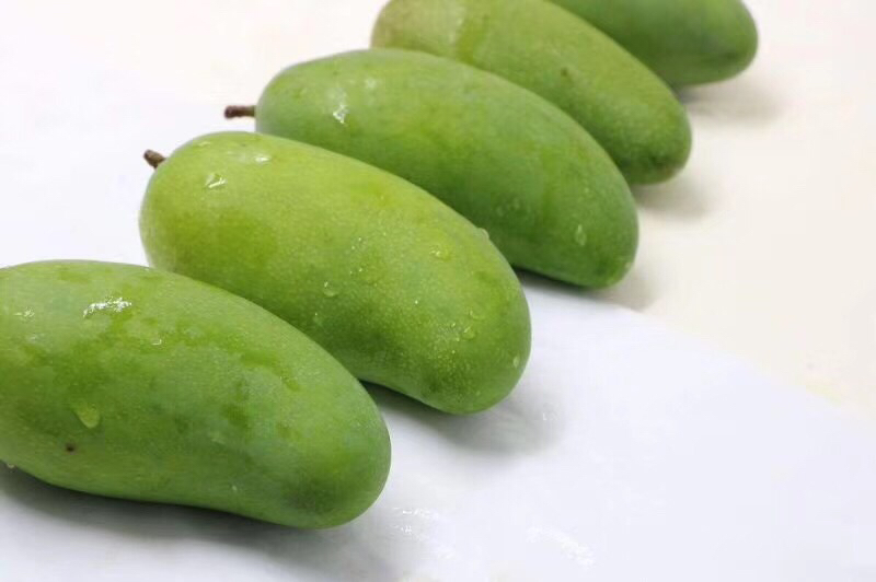 山竹果蒂对比图