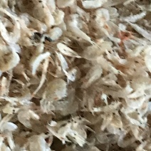 烘干生虾皮
