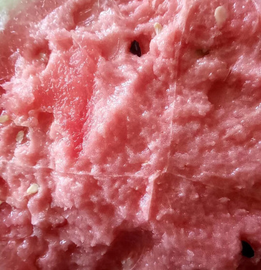 代收盖县西瓜黑籽红瓤水沙甜