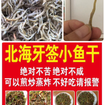 牙签鱼小鱼干