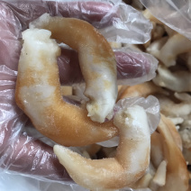 长岛特产大鸟贝