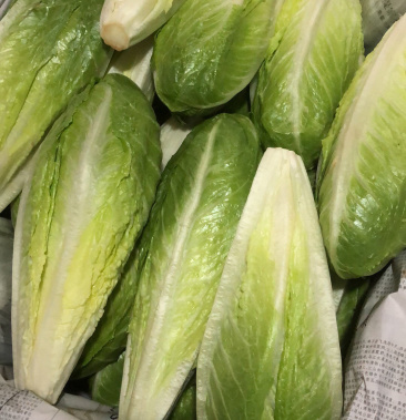 [球生菜批发]罗马生菜,包罗,罗心价格5.00元/斤 - 一亩田
