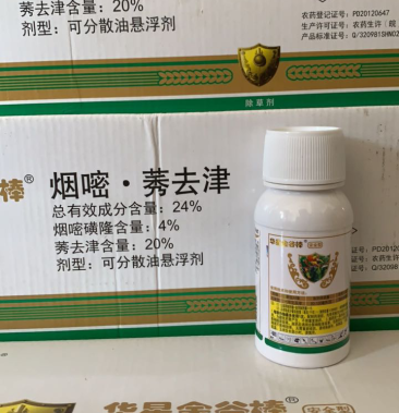 华星 烟嘧莠去津 24% 玉米田专用除草剂
