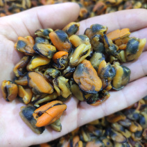 淡菜青口肉提鲜好帮手