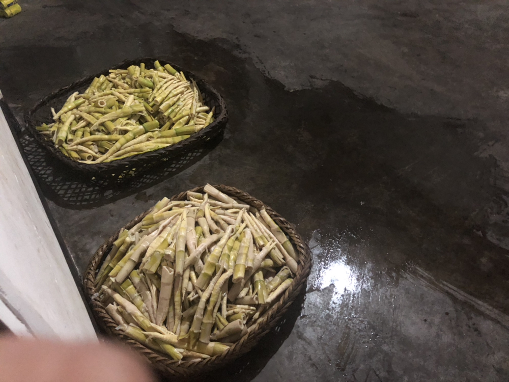 干竹笋冷水初泡过程特写