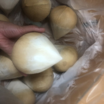 泰国椰皇整柜到货