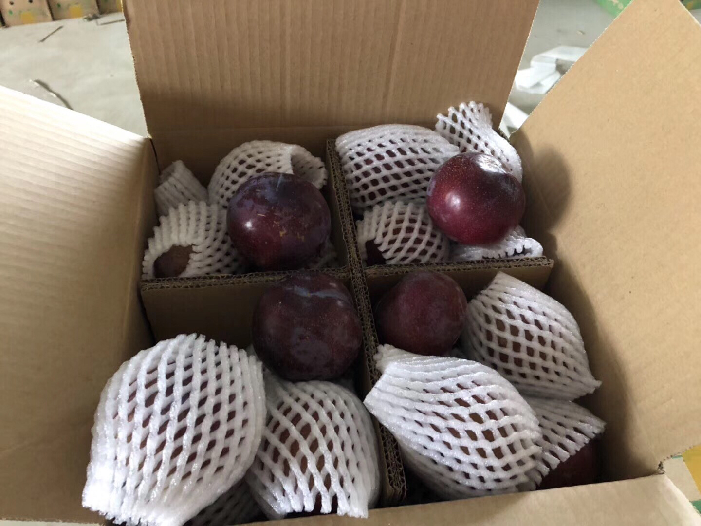 展示黑布林李子在冰箱中冷藏保存的状态,旁边配有保鲜盒和标签 黑布林李子保存方法示意图