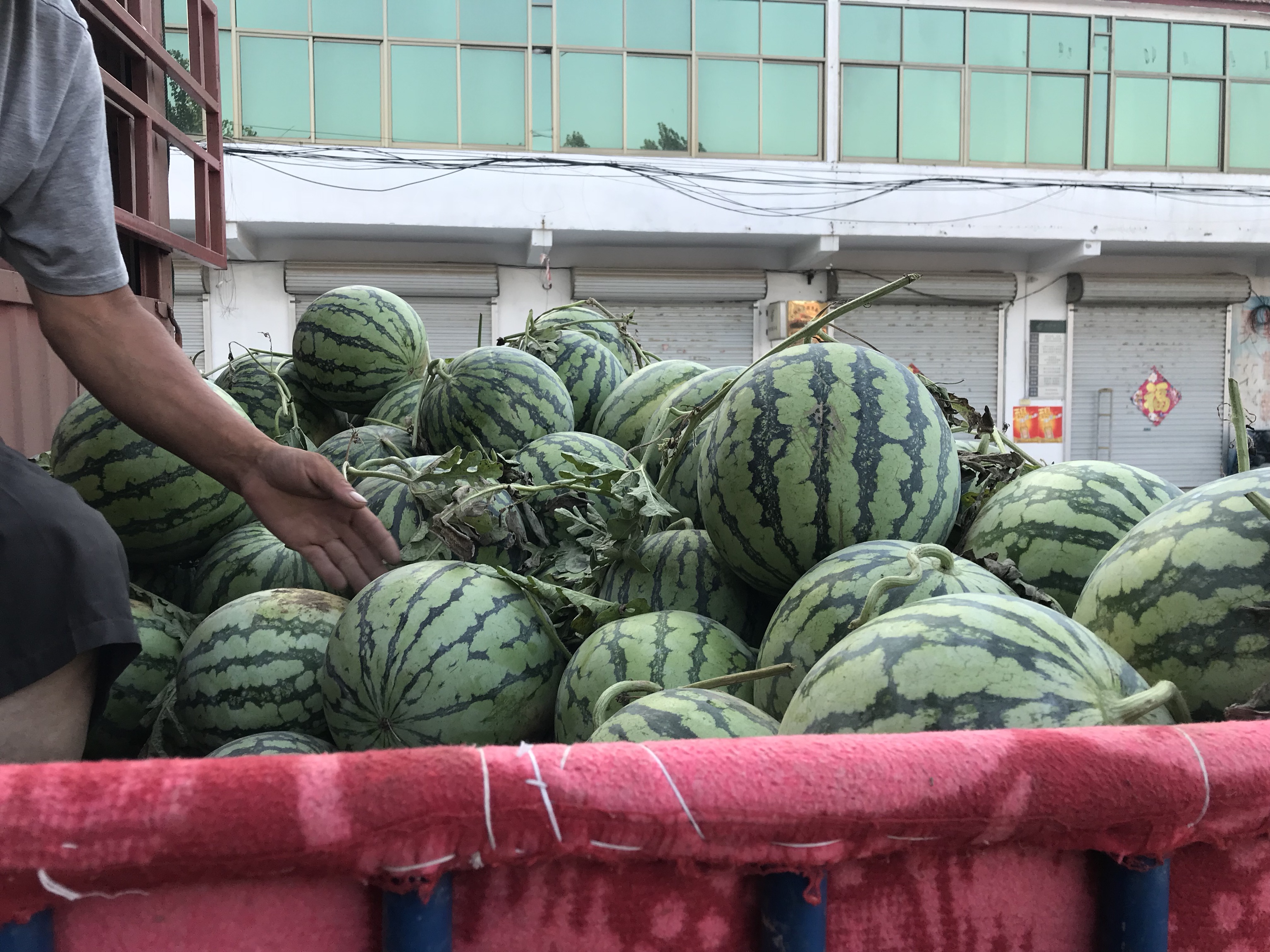 数字化农业服务平台界面示意图