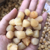 300头大连瑶柱干贝足干瑶柱