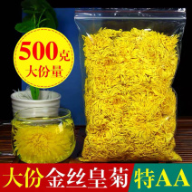 菊花茶特级金丝皇菊一朵一杯散装500g黄菊花茶1斤装