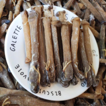 大沙虫原色大沙虫无漂白大沙虫足干厚肉
