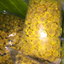 防城防普金花茶烘干花