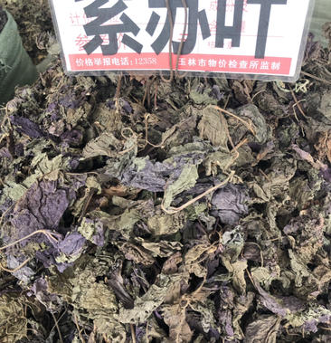 今年新货紫苏叶颜色的货味道香 各种规格都有