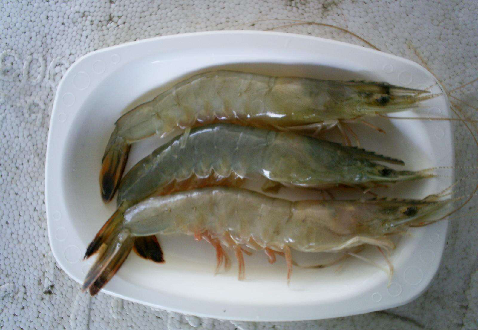 虾头熬制虾油