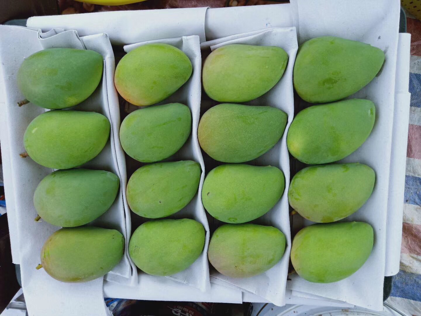 鹰嘴芒果与其他水果搭配的果盘