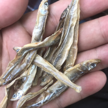 鱼干冰鱼干