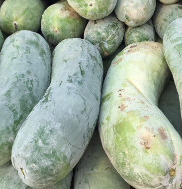 粉皮冬瓜25斤起步到斤五十斤.走市场美货上巿中,望各位老