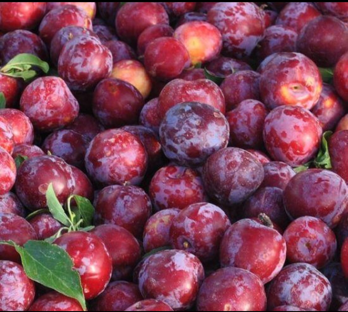 黑宝石李子果盘摆盘图