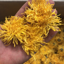 菊花茶