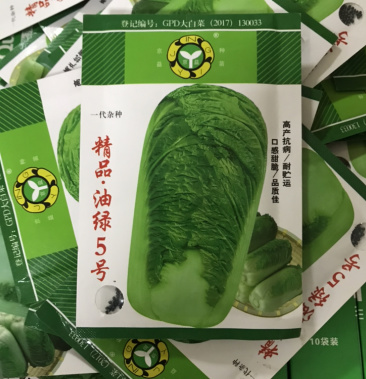 油绿型大白菜种子批发正品行货
