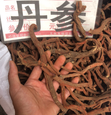 新货山东丹参各种条子都有