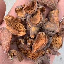 杏干，精品杏干，产地直发，对接全国各地客户