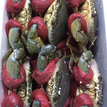 当季菜蟹，量大管饱，一手货源，自产自销