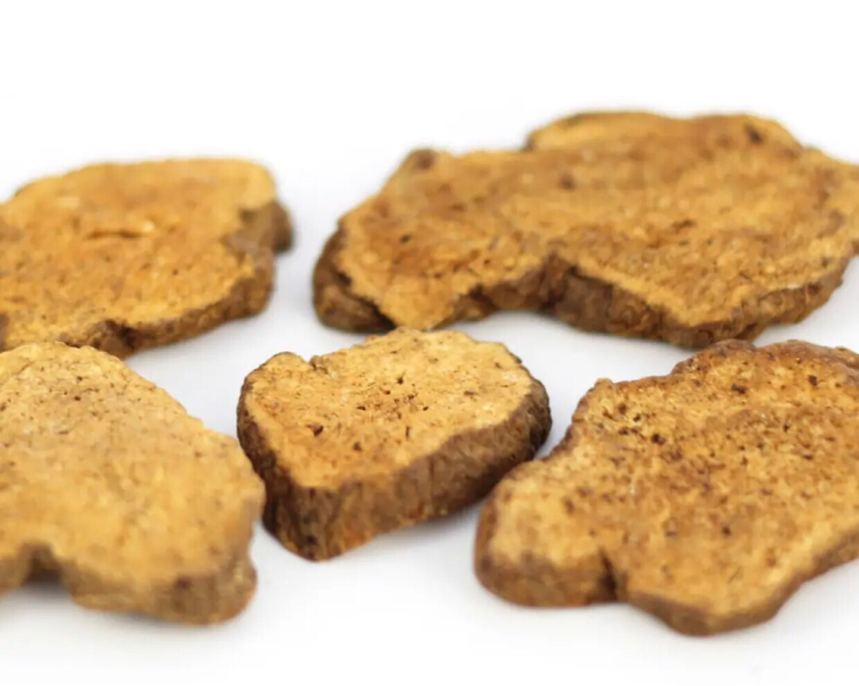 高清中药饮片摄影:麸炒白术片正反面及横切面细节,背景为浅灰亚麻布,自然柔光,突出药材色泽、纹理与油点特征 白术饮片特写:麸炒白术片呈类圆形薄片,表面金黄色至棕黄色,边缘微鼓,断面黄白色,散在棕黄色油点,质地坚实,气清香,味微苦辛