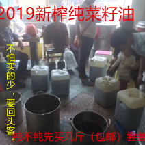 纯菜籽油压榨菜油2019农家自榨非转基因纯菜籽油
