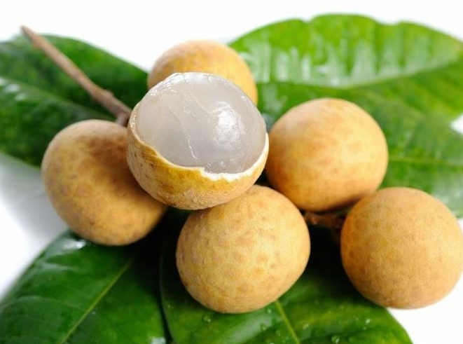 新鲜采摘的龙眼果实,果肉晶莹剔透,呈现出自然的乳白色 龙眼果实特写