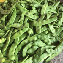 一点红豆角