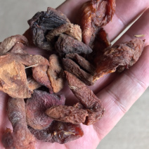 杏干，甘肃定西特产，质量好货源充足全国发货