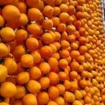 柿饼