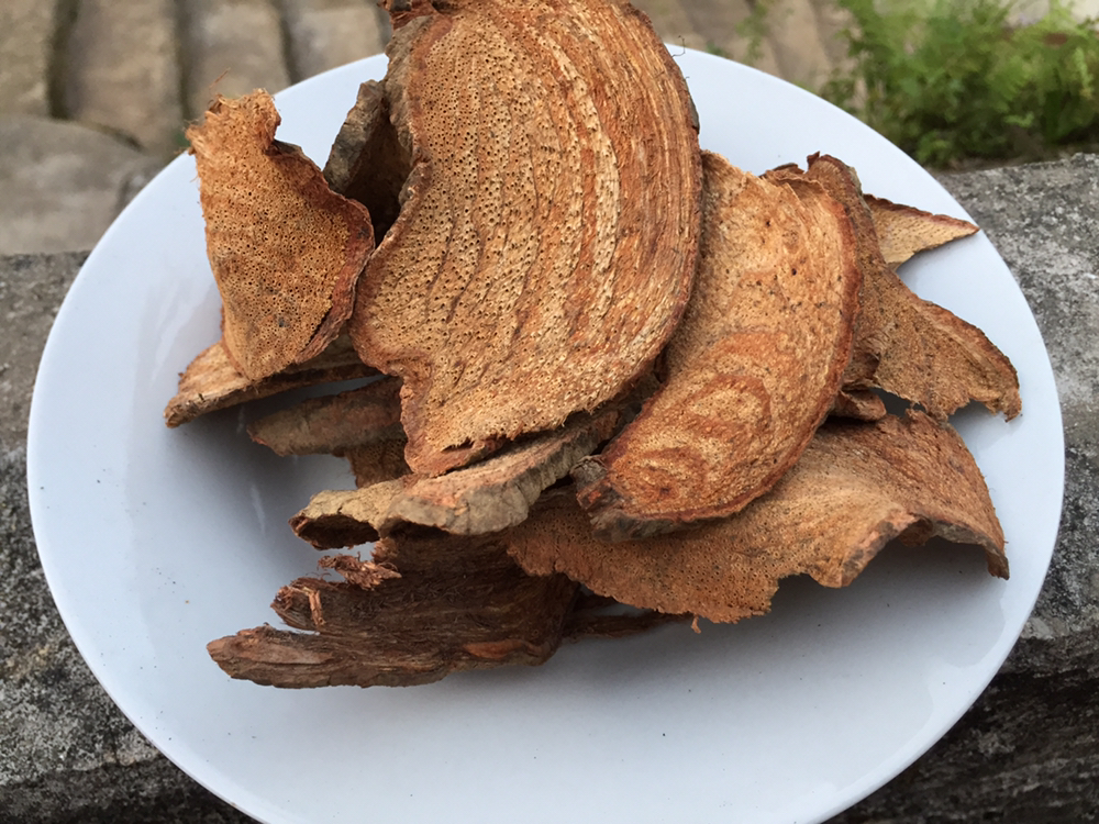 过江龙 扭骨龙 过山峰 扭骨风