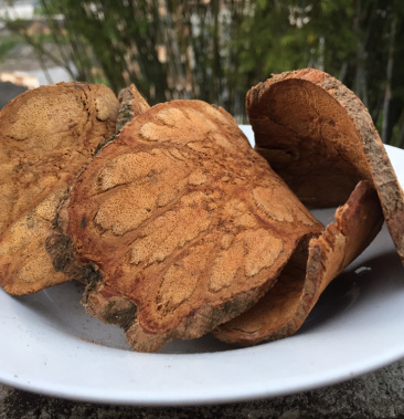 野生九龍藤,鮮貨,乾貨無硫磺足夠幹