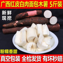 广西食用无毒面包木薯红皮白肉木薯糖水木薯五斤包邮多省